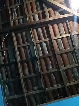 ttonetto online show from March 24, 2026, 5:23 am