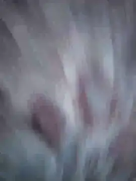 Aliyeni1 online show from April 17, 2026, 12:08 pm