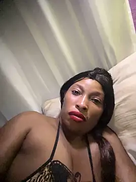 kinghtwalker online show from November 16, 2025, 2:06 am