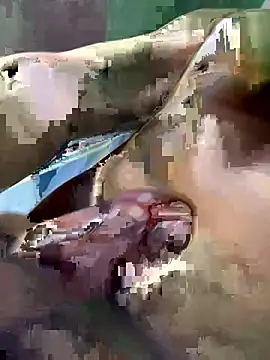 Snapshot of Huynh-duc-huy chatting on February 5, 2026, 7:24 am Huynh-duc-huy online show from February 5, 2026, 7:24 am