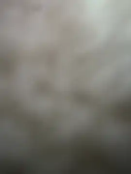  01ruhi online show from March 20, 2026, 7:30 pm