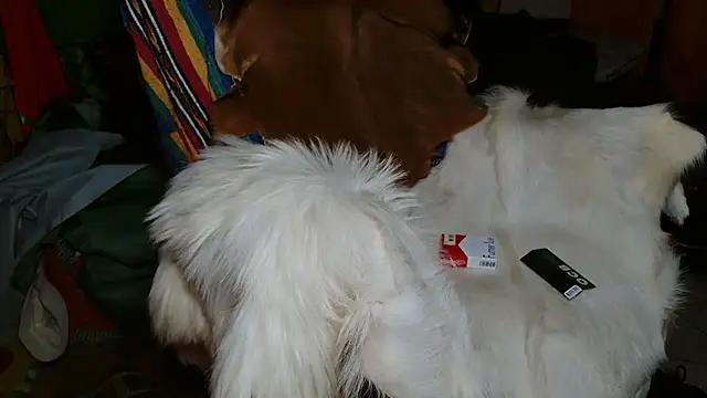 Snapshot of JUSTFORRICH chatting on January 8, 2026, 10:12 pm JUSTFORRICH online show from January 8, 2026, 10:12 pm