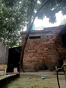 Hotty-rosni online show from December 20, 2025, 2:51 am