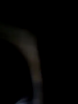 chocolate bella online show from October 11, 2025, 4:05 pm