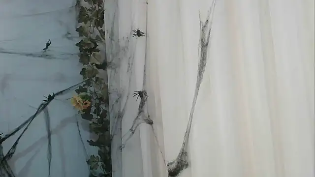 angelainparis28 online show from October 21, 2025, 1:06 am