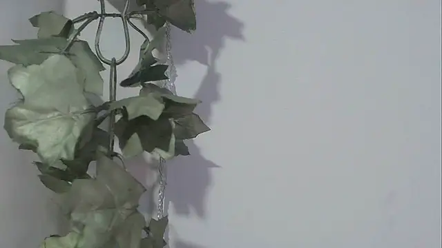 angelainparis28 online show from November 17, 2025, 8:25 pm