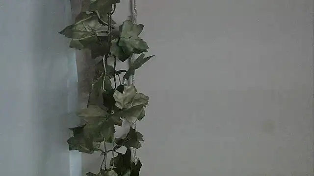 angelainparis28 online show from December 2, 2025, 5:02 am