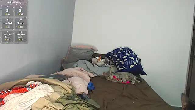 brisazanes online show from November 13, 2025, 3:27 am