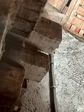 Snapshot of fcach2244 chatting on September 9, 2025, 8:25 am fcach2244 online show from September 9, 2025, 8:25 am