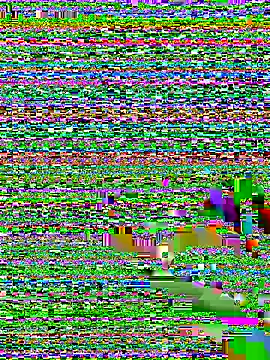 amnnnnnnnnnnn online show from December 5, 2025, 12:30 am