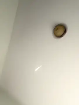 Snapshot of lilcubangoddess chatting on October 28, 2025, 2:31 pm lilcubangoddess online show from October 28, 2025, 2:31 pm