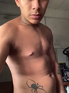 Novindot23cm online show from December 21, 2025, 7:32 pm