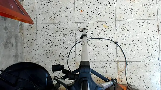 David niet online show from October 16, 2025, 5:47 pm