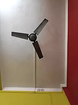 Snapshot of susmicpl chatting on February 3, 2026, 5:29 pm susmicpl online show from February 3, 2026, 5:29 pm