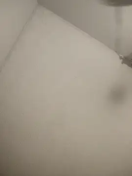 Snapshot of Blessdsoulja44 chatting on March 7, 2026, 8:11 am Blessdsoulja44 online show from March 7, 2026, 8:11 am