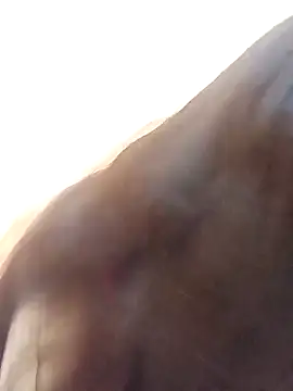 Payal-001 online show from October 17, 2025, 7:27 pm