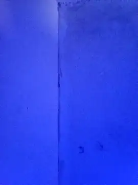 RandalHot online show from November 23, 2025, 2:06 pm