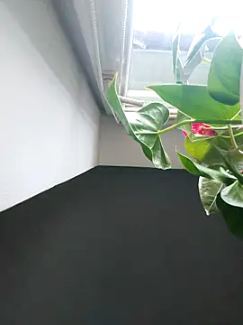 Czarnoksieznik online show from November 2, 2025, 12:07 pm