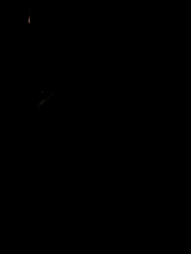 koukou322 online show from November 2, 2025, 10:06 am