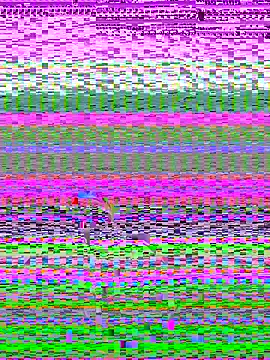 Snapshot of pnwzo chatting on October 3, 2025, 8:28 pm pnwzo online show from October 3, 2025, 8:28 pm