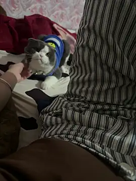 Snapshot of keelinnn19 chatting on February 18, 2026, 2:02 pm keelinnn19 online show from February 18, 2026, 2:02 pm