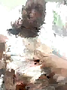 MichellePose online show from November 19, 2025, 1:05 am