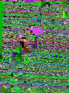 Jaydemasked online show from February 9, 2026, 9:57 am