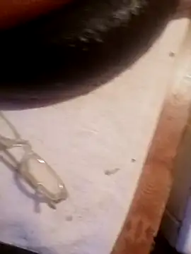 Snapshot of Hrnyallthetime chatting on February 26, 2026, 10:42 pm Hrnyallthetime online show from February 26, 2026, 10:42 pm