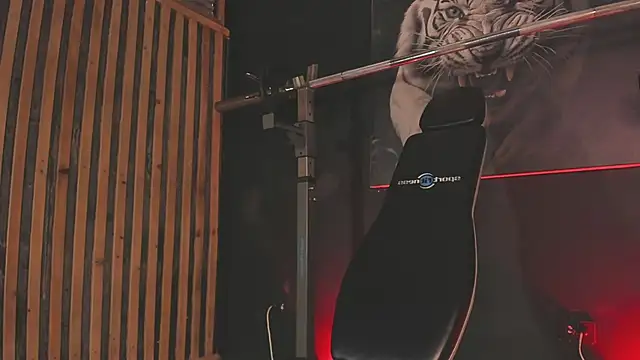 DimitriDeluxe online show from November 29, 2025, 8:12 pm