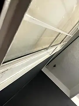 Emily Rivers  online show from January 14, 2026, 1:17 pm