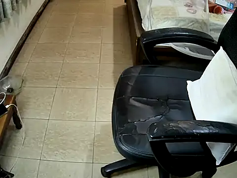 Snapshot of sissypamsissy chatting on February 8, 2026, 12:19 pm sissypamsissy online show from February 8, 2026, 12:19 pm