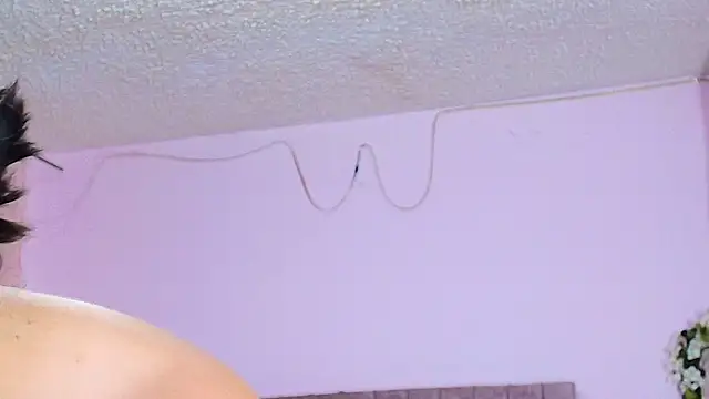 Snapshot of MiSofialeal chatting on February 5, 2026, 5:50 pm MiSofialeal online show from February 5, 2026, 5:50 pm