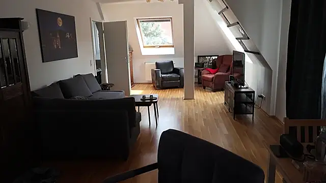 Tanywish online show from November 4, 2025, 12:26 pm