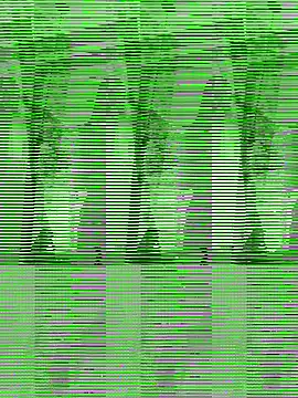 TAMIL ELAKKIYA online show from November 15, 2025, 11:40 am