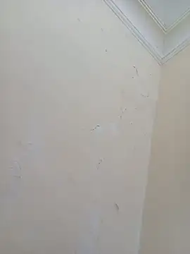 Sondosa3 online show from October 5, 2025, 9:02 pm