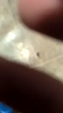 Snapshot of DecimalPoint222InchCock chatting on November 10, 2025, 11:15 pm DecimalPoint222InchCock online show from November 10, 2025, 11:15 pm