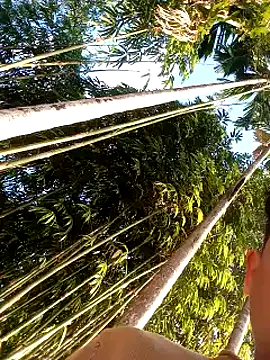 Johlrd online show from December 17, 2025, 2:06 am