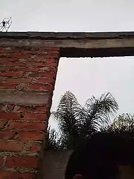 Snapshot of TragicAirplane168 chatting on December 14, 2025, 11:31 pm TragicAirplane168 online show from December 14, 2025, 11:31 pm