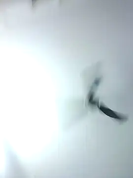 Kehar punjaban online show from September 28, 2025, 7:36 am