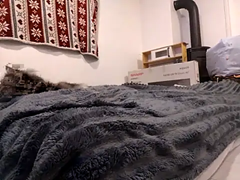 Snapshot of HoneySquirrel chatting on October 10, 2025, 5:23 pm HoneySquirrel online show from October 10, 2025, 5:23 pm