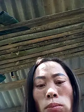 Snapshot of CoMay003 chatting on November 15, 2025, 6:22 am CoMay003 online show from November 15, 2025, 6:22 am