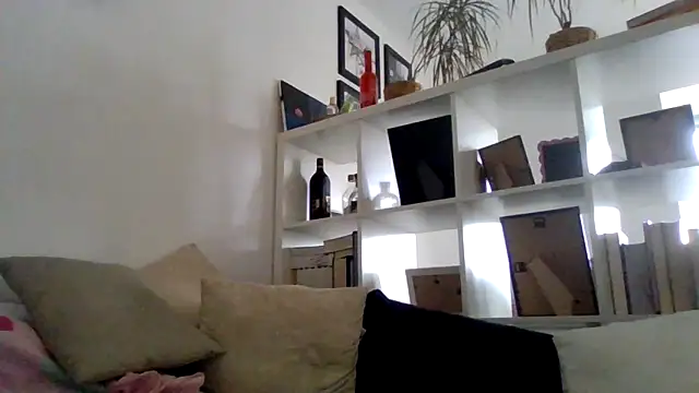 Snapshot of bigcockjohnxxxxx chatting on November 11, 2025, 12:49 pm bigcockjohnxxxxx online show from November 11, 2025, 12:49 pm