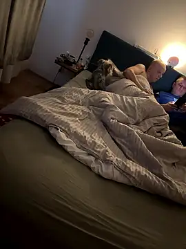 Snapshot of Jaropol chatting on January 12, 2026, 6:40 am Jaropol online show from January 12, 2026, 6:40 am