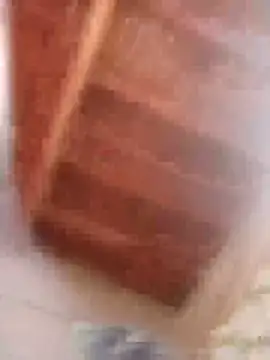 Snapshot of HOT-MUNDA chatting on February 9, 2026, 9:02 am HOT-MUNDA online show from February 9, 2026, 9:02 am