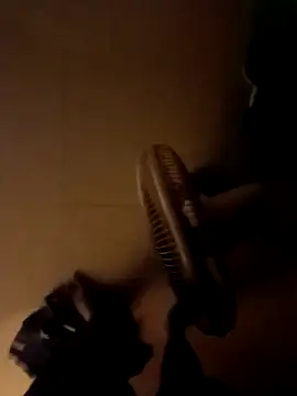 newboygoa online show from April 4, 2026, 1:19 pm