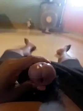 newboygoa online show from April 7, 2026, 10:59 am