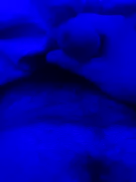 Snapshot of Derfick200 chatting on December 2, 2025, 7:09 pm Derfick200 online show from December 2, 2025, 7:09 pm