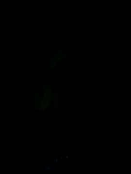 Ternura Prohibida online show from October 18, 2025, 3:42 am