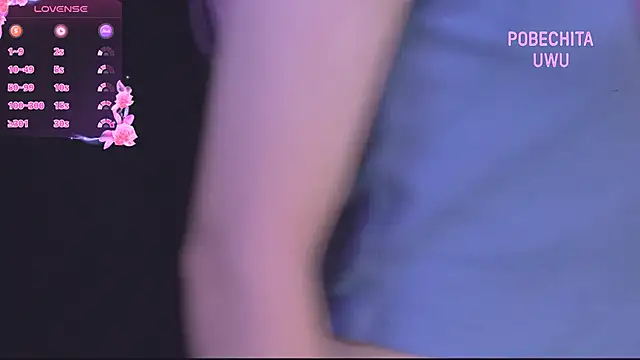 Pobechita online show from November 12, 2025, 2:34 am