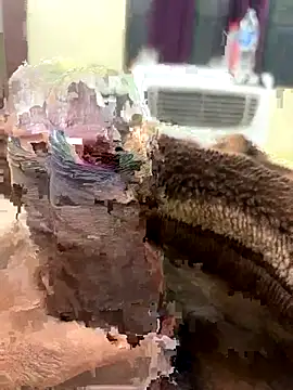 its Surya BBC online show from November 27, 2025, 12:40 pm